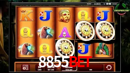 Cassino ao vivo com dealers reais na 8855bet