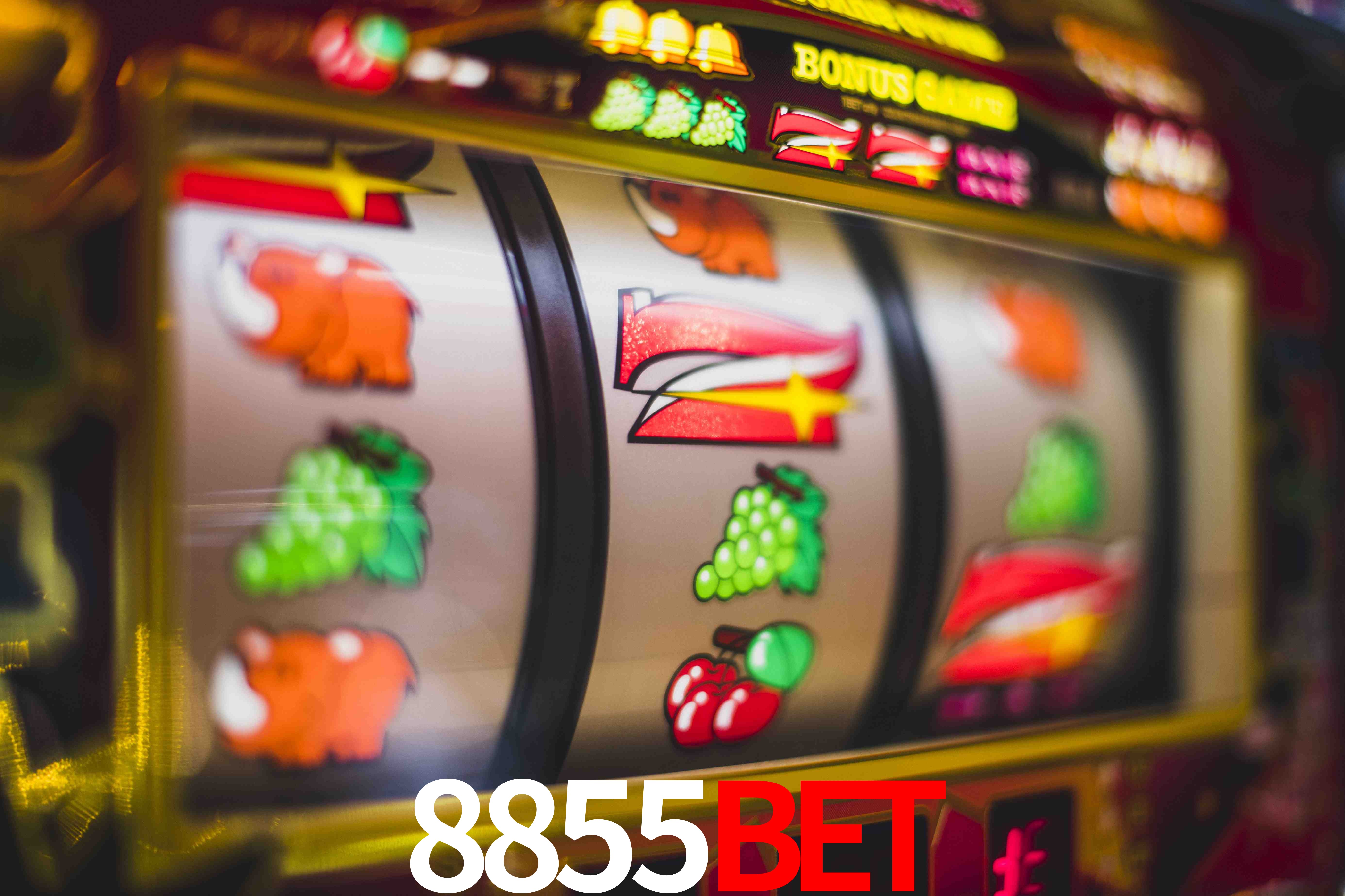 Sports Statistics 8855bet